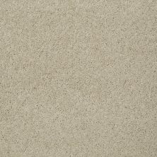Shaw Floors Shaw Flooring Gallery Inspired By I French Linen 00103_5559G