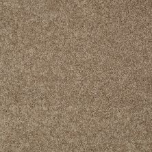 Shaw Floors Shaw Flooring Gallery Inspired By I Saffron 00757_5559G