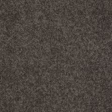 Shaw Floors Shaw Flooring Gallery Inspired By II Vintage Leather 00755_5560G