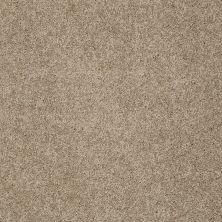 Shaw Floors Inspired By III Cappuccino 00756_5562G