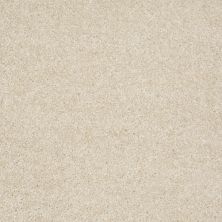 Shaw Floors Shaw Flooring Gallery Premier Role Ivory 00150_5571G