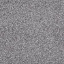 Shaw Floors Shaw Flooring Gallery Premier Role Sterling 00500_5571G