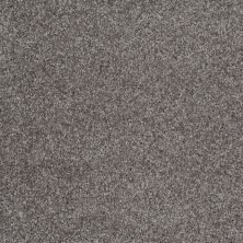 Shaw Floors Shaw Flooring Gallery Premier Role Charcoal 00551_5571G