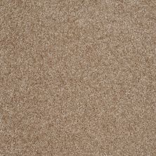 Shaw Floors Shaw Flooring Gallery Premier Role Veranda 00700_5571G