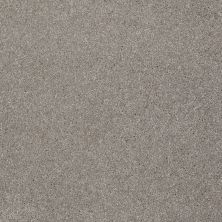 Shaw Floors Shaw Flooring Gallery Perfectly Timed Radiance 00500_5572G