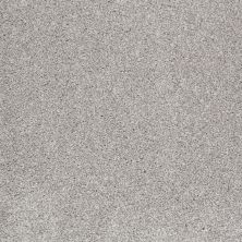 Shaw Floors Shaw Flooring Gallery Perfectly Timed Frosted Ice 00510_5572G