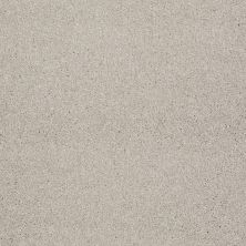 Shaw Floors Shaw Flooring Gallery Beautifully Simple Soft Chamois 00103_5573G
