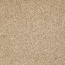 Shaw Floors Shaw Flooring Gallery Beautifully Simple Oakwood 00200_5573G
