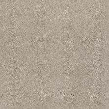 Shaw Floors Shaw Flooring Gallery Beautifully Simple Coastal Fog 00702_5573G