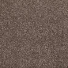 Shaw Floors Shaw Flooring Gallery Beautifully Simple Rustic Taupe 00706_5573G