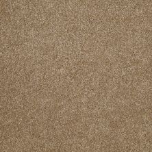Shaw Floors Shaw Flooring Gallery Beautifully Simple Bridgewater Tan 00709_5573G