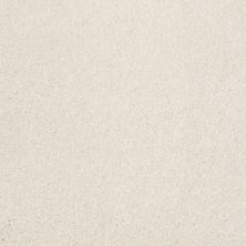 Shaw Floors Shaw Flooring Gallery Lucky You Royal Silk 00100_5574G