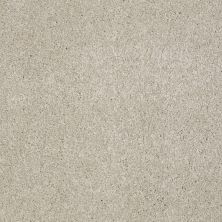 Shaw Floors Shaw Flooring Gallery Lucky You Linen 00104_5574G