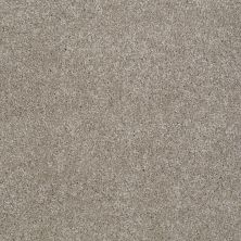 Shaw Floors Shaw Flooring Gallery Lucky You Mocha Cream 00105_5574G