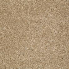 Shaw Floors Shaw Flooring Gallery Lucky You Oakwood 00200_5574G