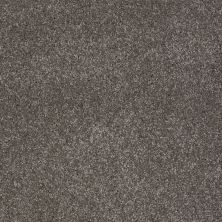 Shaw Floors Shaw Flooring Gallery Lucky You Stone Hearth 00703_5574G
