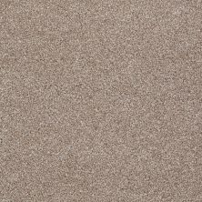 Shaw Floors Shaw Flooring Gallery Lucky You Sombrero 00710_5574G