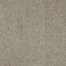 Shaw Floors Shaw Flooring Gallery Why Not Me Khaki Tan 00700_5581G
