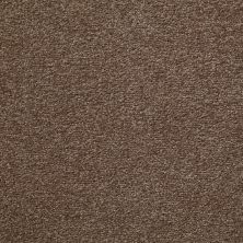 Shaw Floors Shaw Flooring Gallery Why Not Me Brushed Suede 00702_5581G