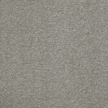 Shaw Floors Shaw Flooring Gallery Why Not Me Smooth Taupe 00712_5581G