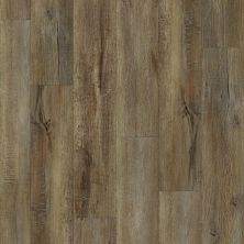 Philadelphia Commercial 5636v Modeled Oak 00709_5636V