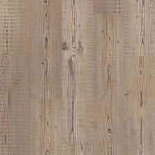Philadelphia Commercial Resilient Commercial New History Accent Pine 07063_5640V