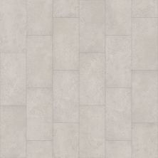 Shaw Floors Resilient Residential Ct Stone 12x24m Edesia 12250_566CT