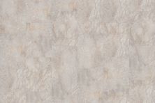 Shaw Floors Resilient Residential Ct Stone 18x24m Iona 18242_567CT