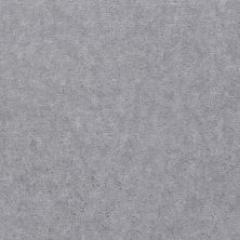 Shaw Floors Carpets Of Distinction Diamond Bar Fedora 81551_57081