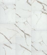 Shaw Floors Resilient Residential Ct Stone 18x24p Olesia 18223_578CT