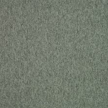 Shaw Contract No Collection Peto II Coastal Getaway 71321_5A025