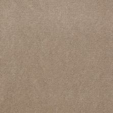 Shaw Contract No Collection Design Sr V 30 Twill 32110_5A032