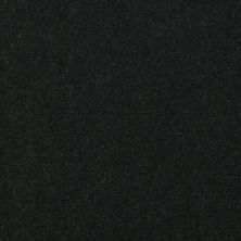 Shaw Contract No Collection Design Sr V 30 View 32344_5A032