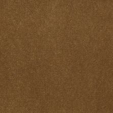 Shaw Contract No Collection Design Sr V 30 Lime Wood 50220_5A032
