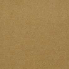 Shaw Contract No Collection Design Sr V 30 Talc 50243_5A032