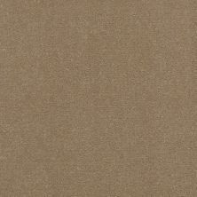 Shaw Contract No Collection Design Sr V 36 Twill 32110_5A033