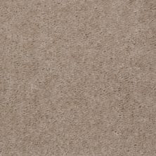 Shaw Floors Shaw Design Center Inspirational Ladys Choice 00116_5C329