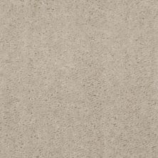 Shaw Floors Shaw Design Center Inspirational Coastal Sand 00122_5C329