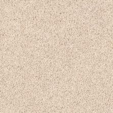 Shaw Floors Shaw Design Center Winters Home Broadstone 00104_5C582