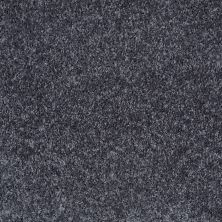Shaw Floors Shaw Design Center Kentland 12′ North Shore 00400_5C599