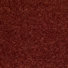 Shaw Floors Shaw Design Center Kentland 12′ Sienna 00600_5C599