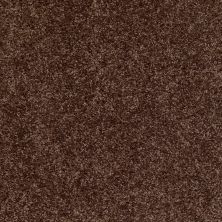 Shaw Floors Shaw Design Center Kentland 12′ Montana 00714_5C599