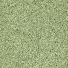 Shaw Floors Shaw Design Center Kid Crazy Limeade 00330_5C654