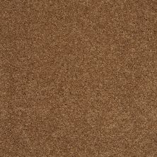 Shaw Floors Shaw Design Center Luxury Bay II English Toffee 00703_5C670