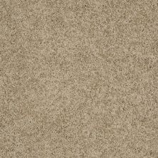 Shaw Floors Shaw Design Center Luxury Bay III Driftwood 00700_5C671