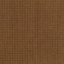 Shaw Floors Shaw Design Center Luxury Bay Pattern Country Wheat 00701_5C694