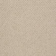 Shaw Floors Shaw Design Center Proven Identity Loop Clay Stone 00108_5C695