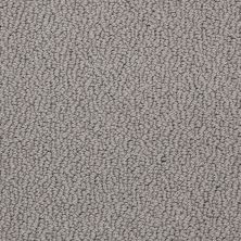 Shaw Floors Shaw Design Center Proven Identity Loop Sheer Silver 00500_5C695