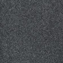 Shaw Floors Shaw Design Center Sun Drenched Indigo 00411_5C740
