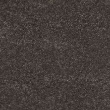 Shaw Floors Shaw Design Center Beautifully Simple II 12 Charcoal 00504_5C747